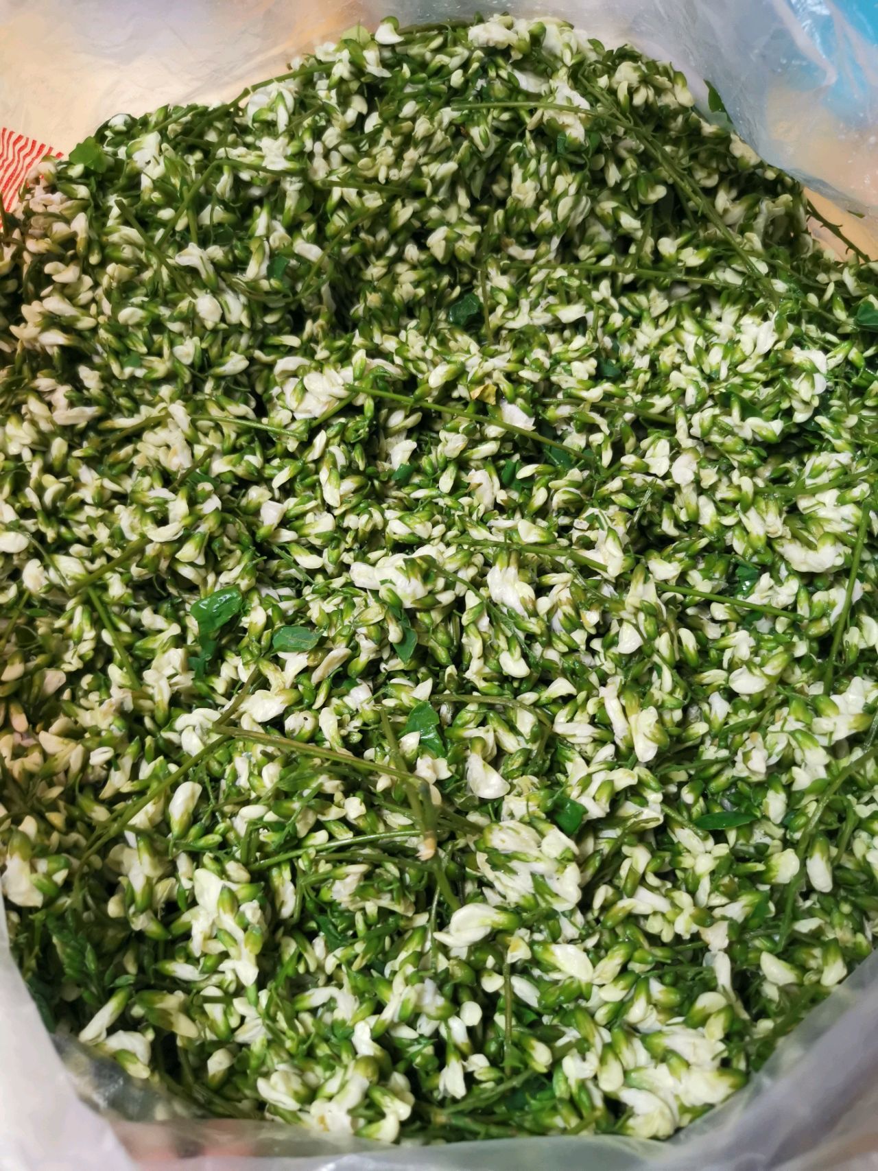鸿运高照槐花饼的做法