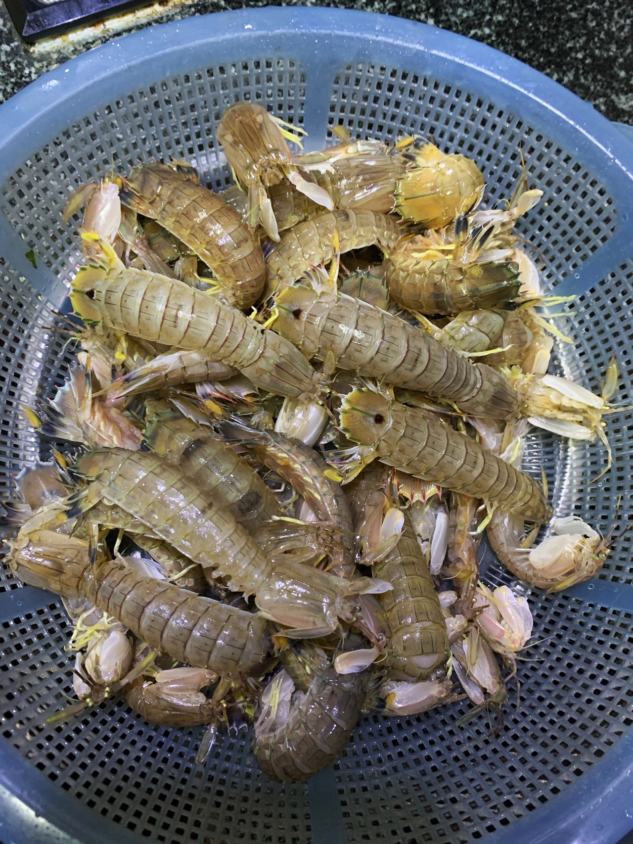 椒盐皮皮虾的做法