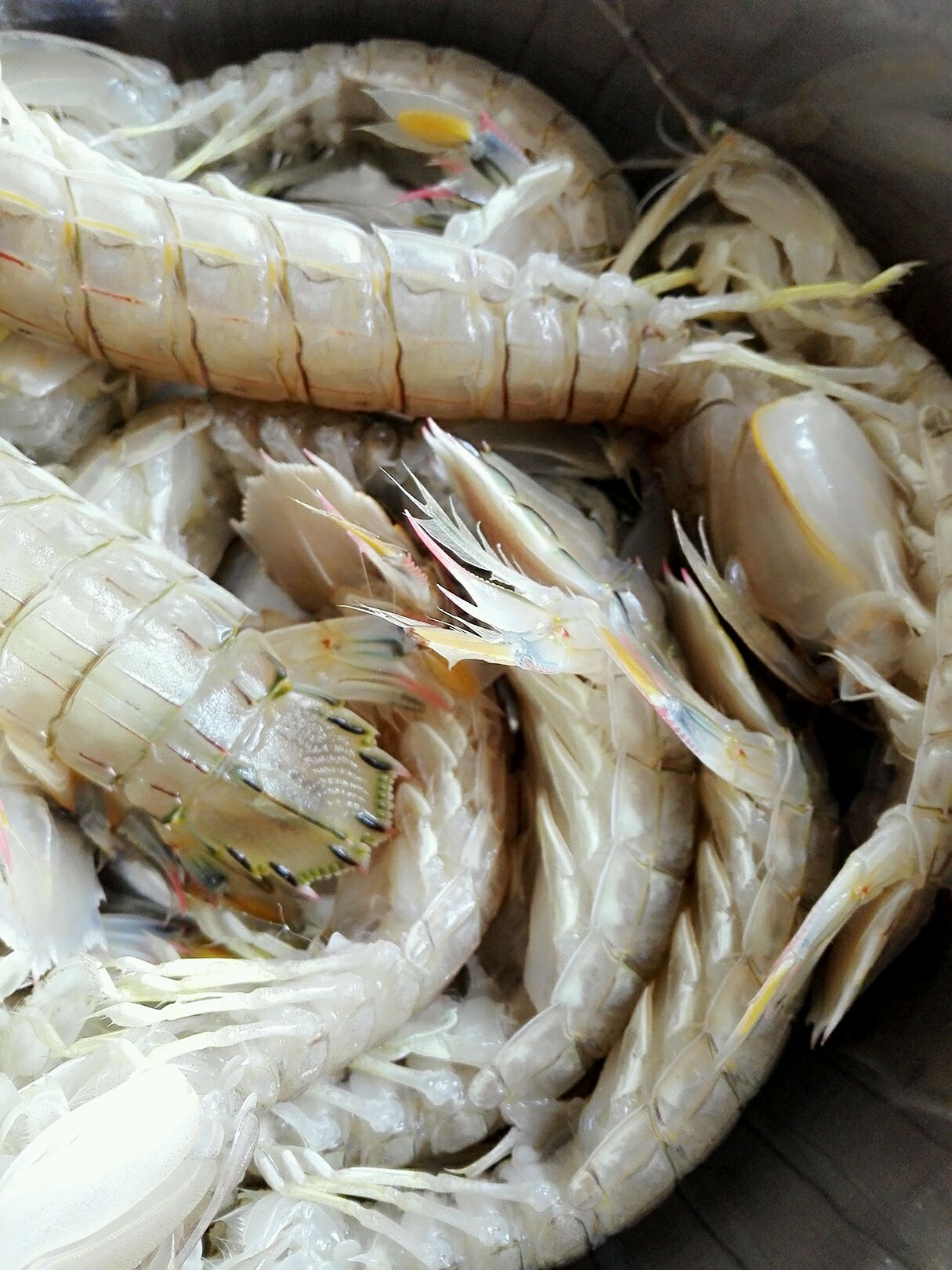 蒜香皮皮虾