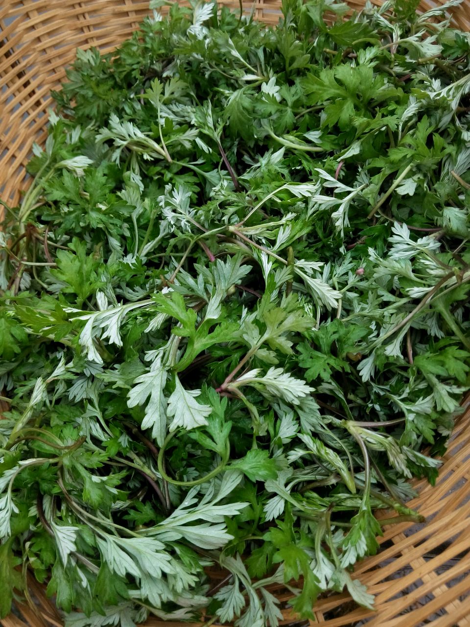蒿子粑粑
