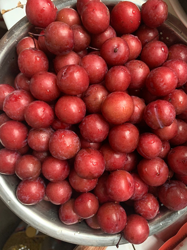 野李子酱的做法_菜谱_豆果美食