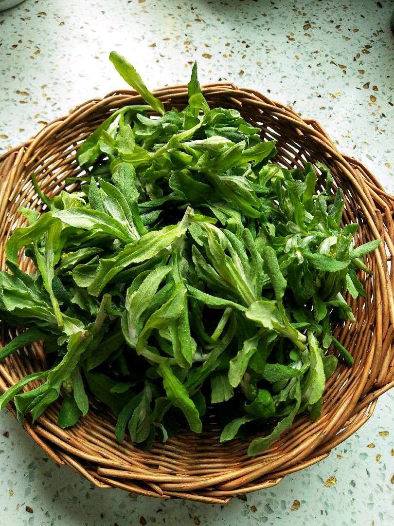 清明菜馍馍