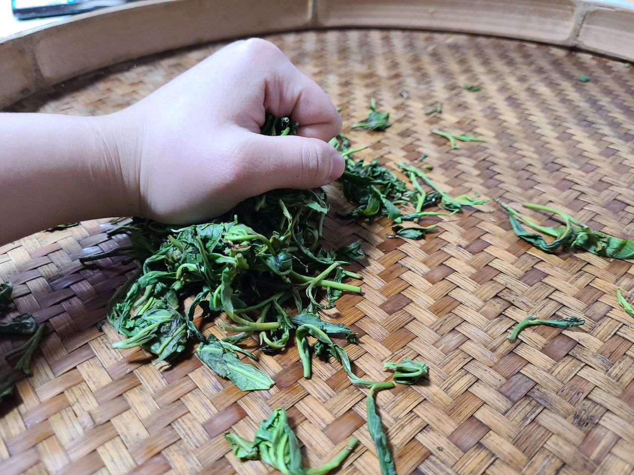 梅子绿茶怎么做_梅子绿茶的做法_沙小囡_豆果美食