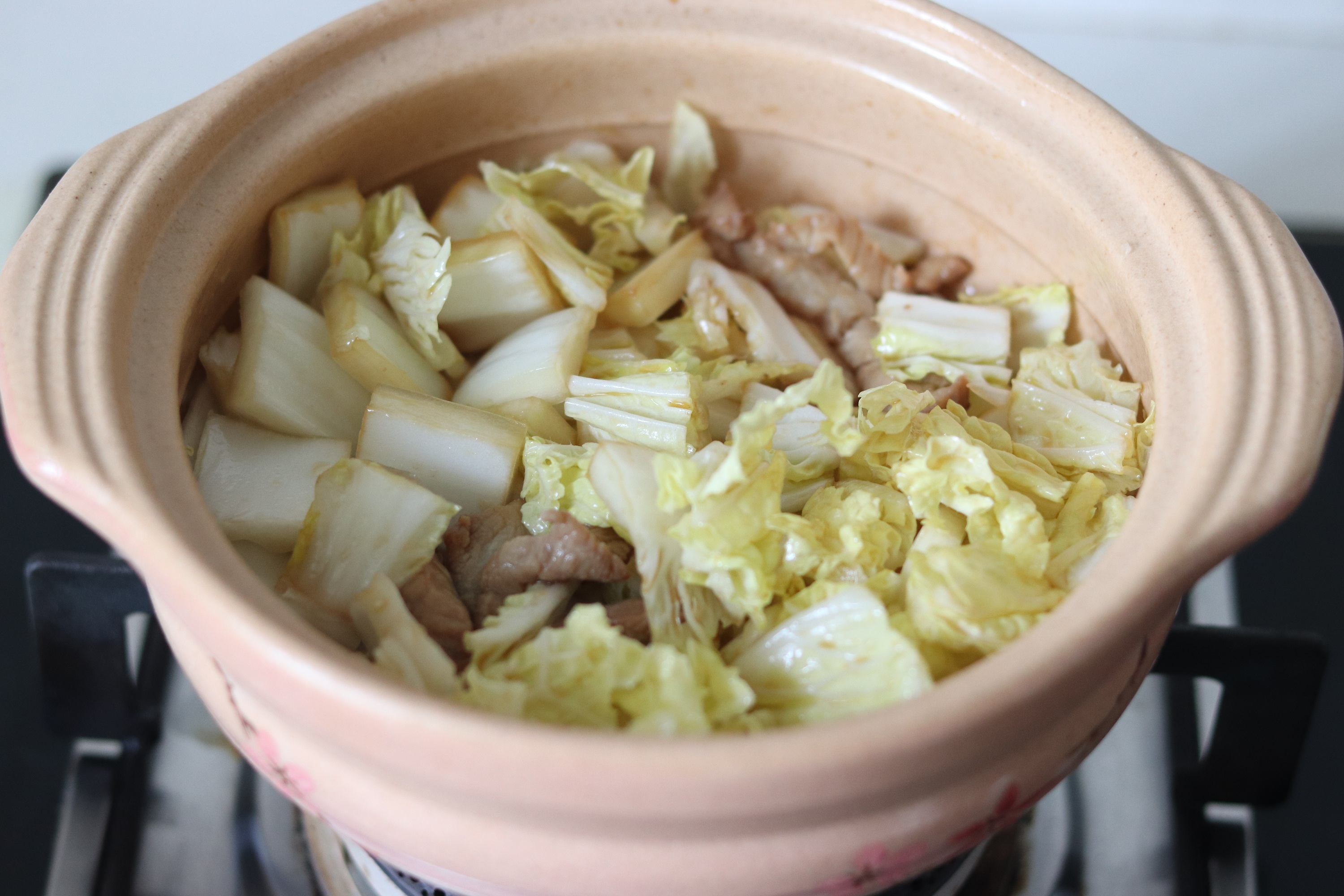 砂锅炖菜(白菜豆腐粉条肉)