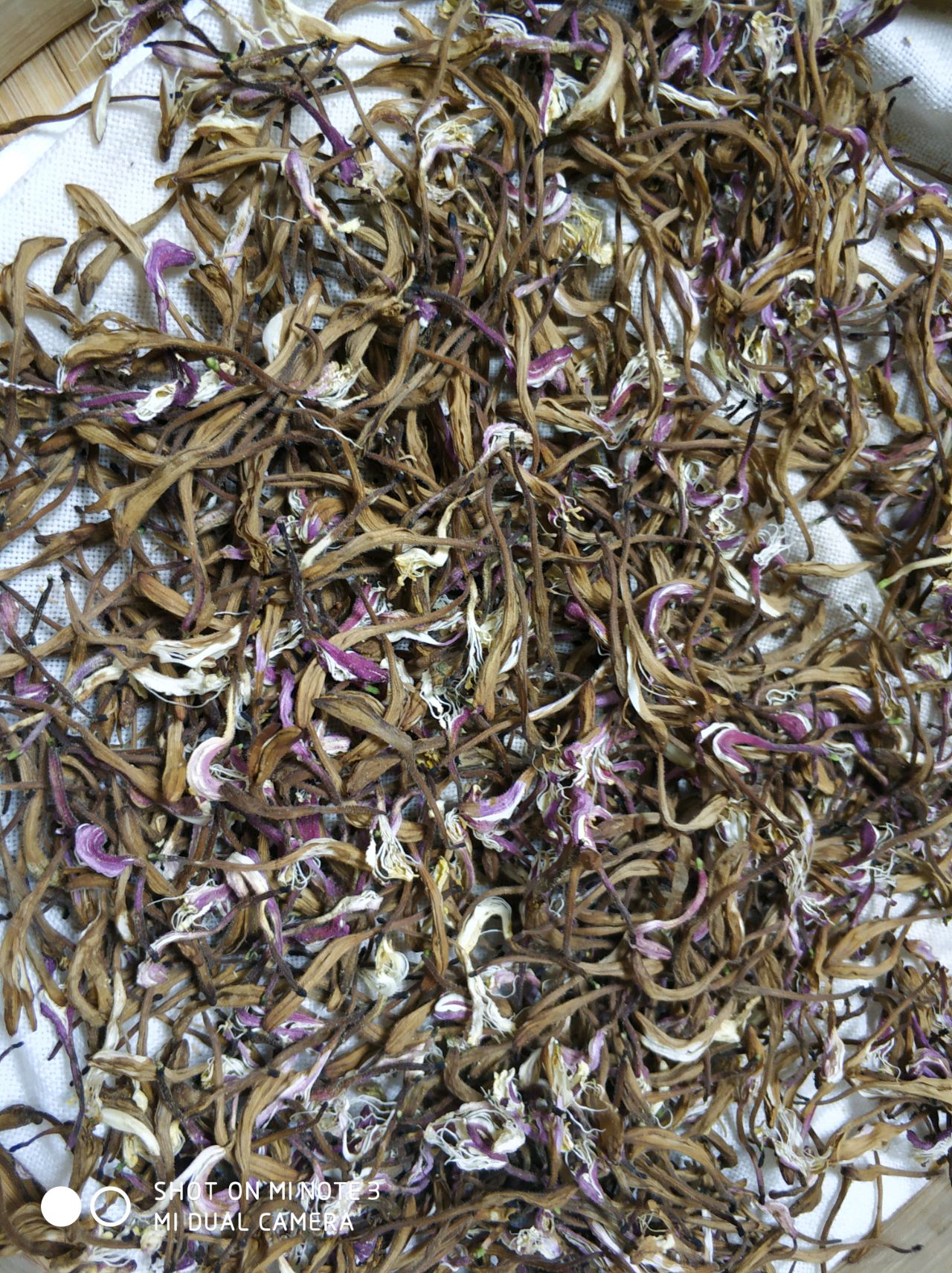 自制金银花花干喝点金银花茶