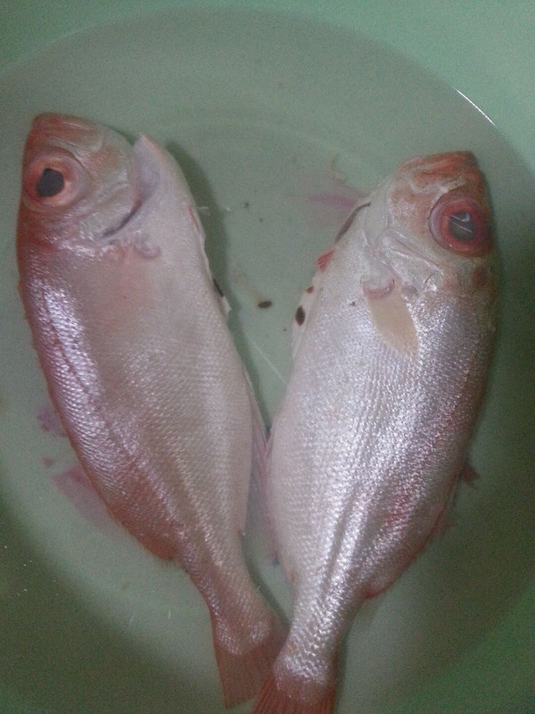 清水大眼鸡(海鱼)的做法_菜谱_豆果美食