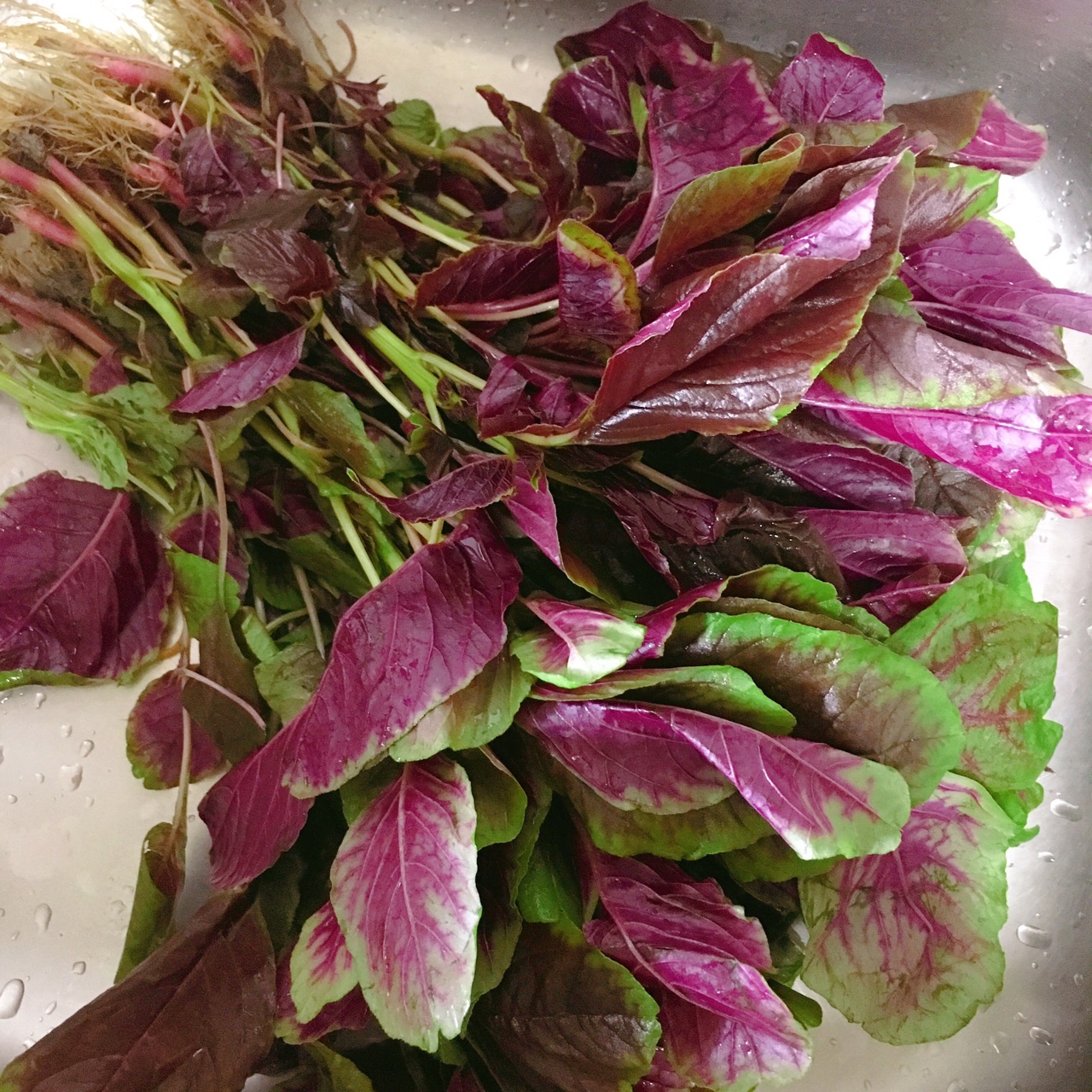 炒汉菜(红苋菜)的做法图解1
