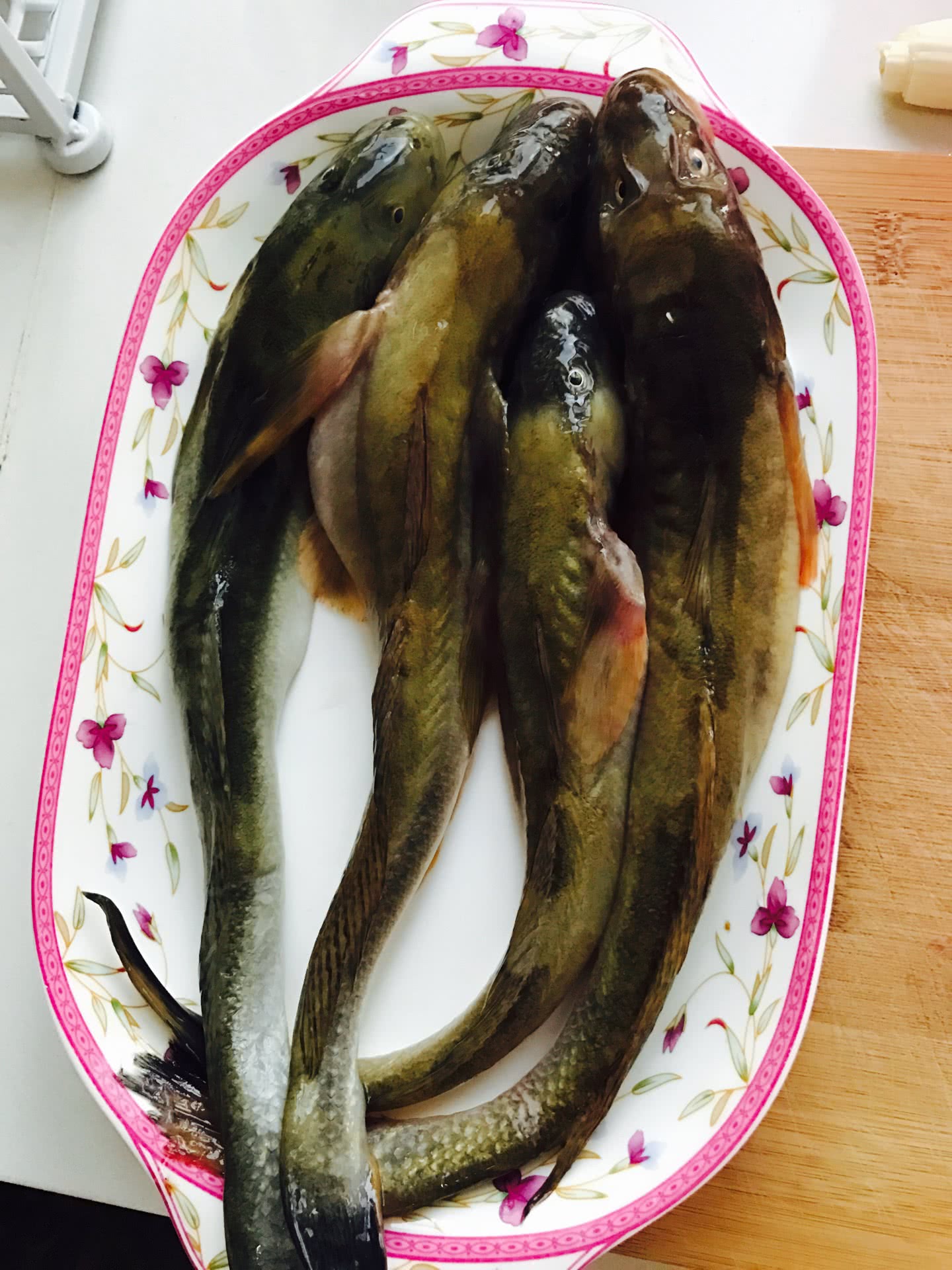 秋天钓海鲶鱼，那是非常的过瘾，秋季钓海鲶鱼的4个技巧 - 知乎
