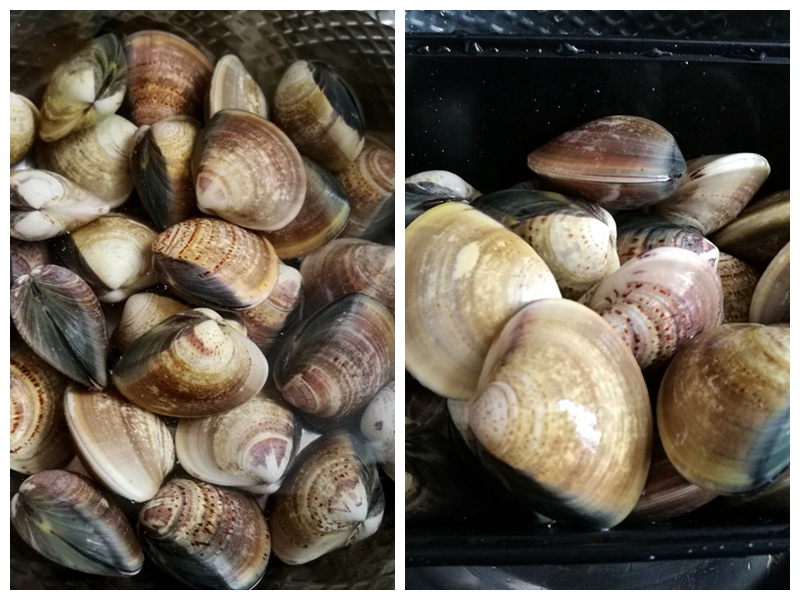 沙白芥菜汤的做法