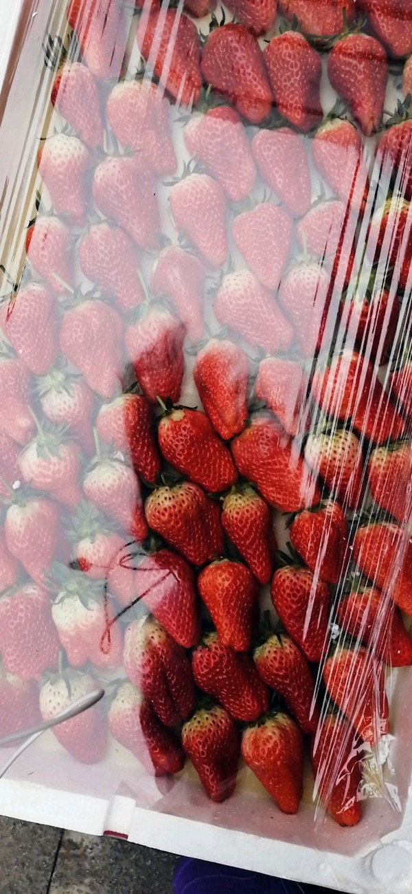 买了一版新鲜草莓太多了家里还有很多水果,草莓