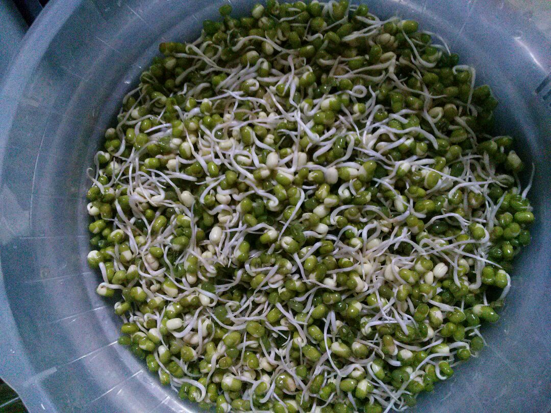 绿豆芽的做法大全，绿豆芽怎么做好吃-炒豆芽怎么做好吃
