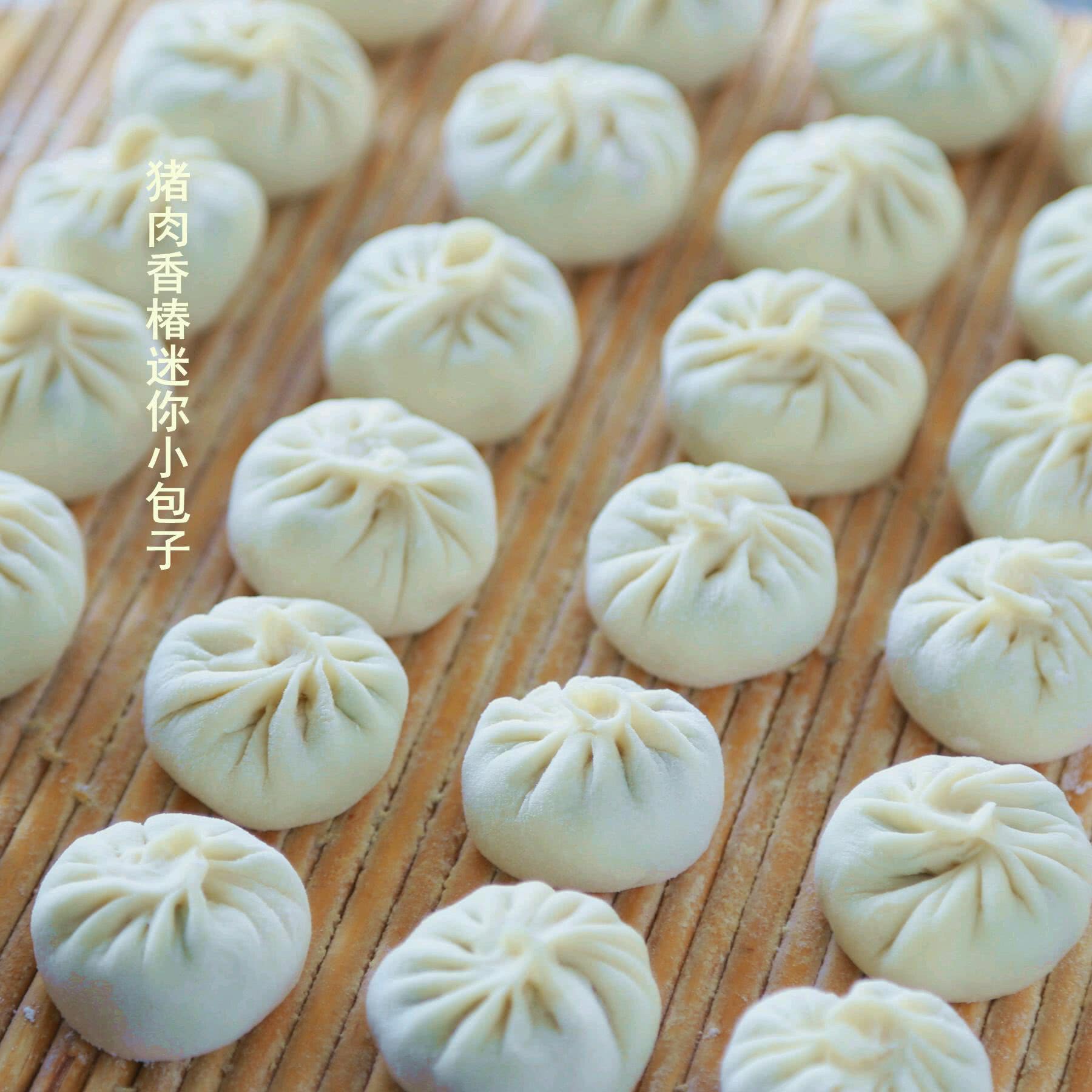 养小包子小说
