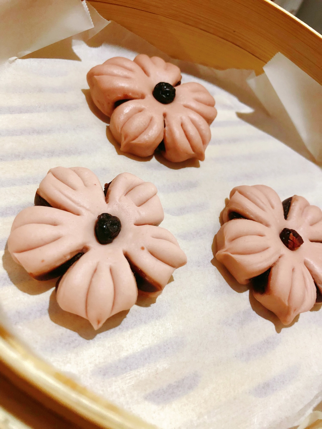 豆沙包之樱花朵朵开
