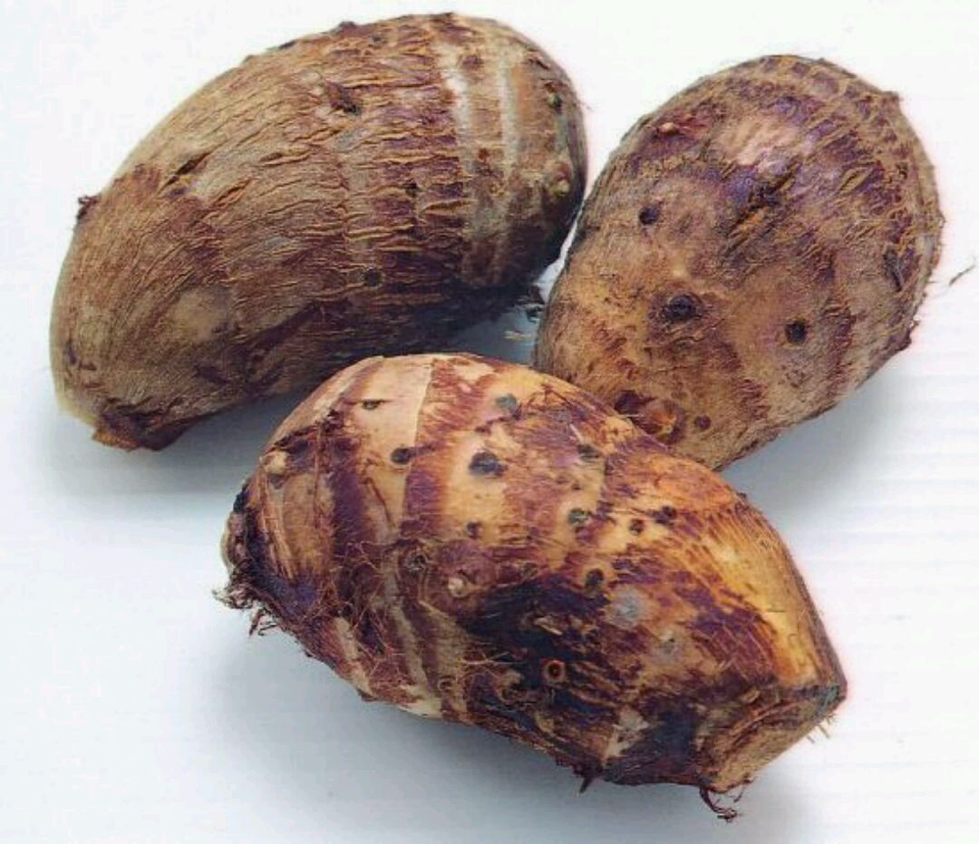 青菜芋艿泡饭