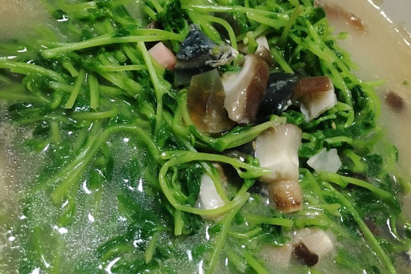 上汤豆苗