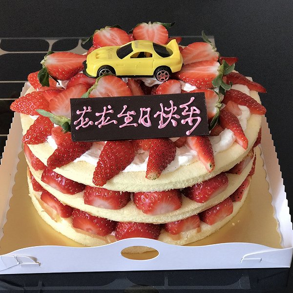 送给儿子的生日蛋糕,10岁儿子生日蛋糕配字 做给朋友儿子的生日蛋糕