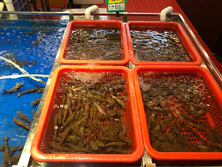 珠海白藤头海鲜市场-珠海人才知道的海鲜市场