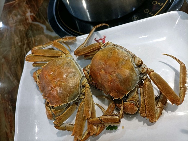 陈赫火锅店被曝天花板掉落烫伤顾客_南京一饭店被曝偷换顾客螃蟹_形容饭店顾客多生意好的成语