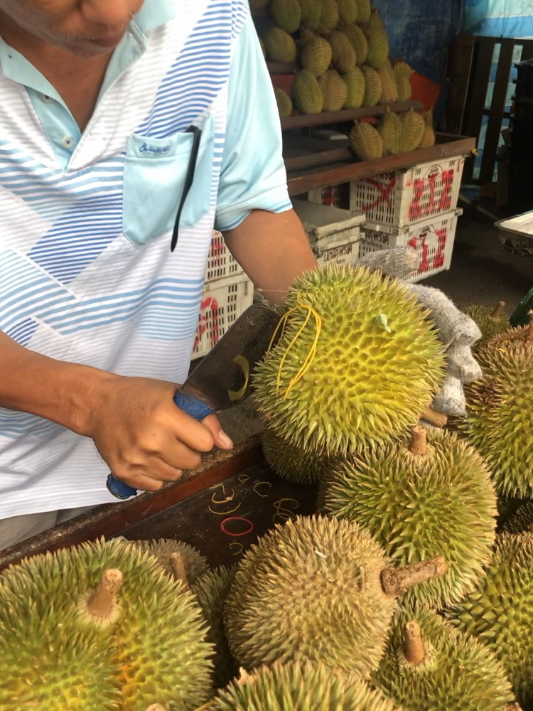 世界上最好吃的榴莲——马来西亚榴莲