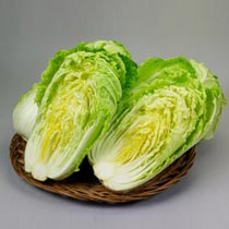  Chinese cabbage