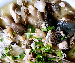 【贺晓溪】蘑菇鱼头汤的做法