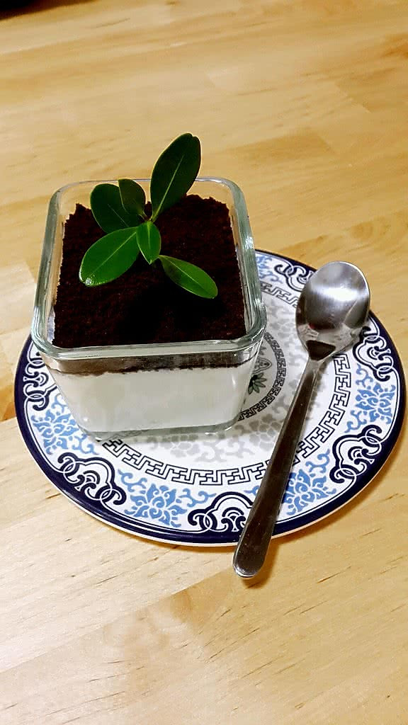 叮当家de的盆栽-盆栽酸奶的做法