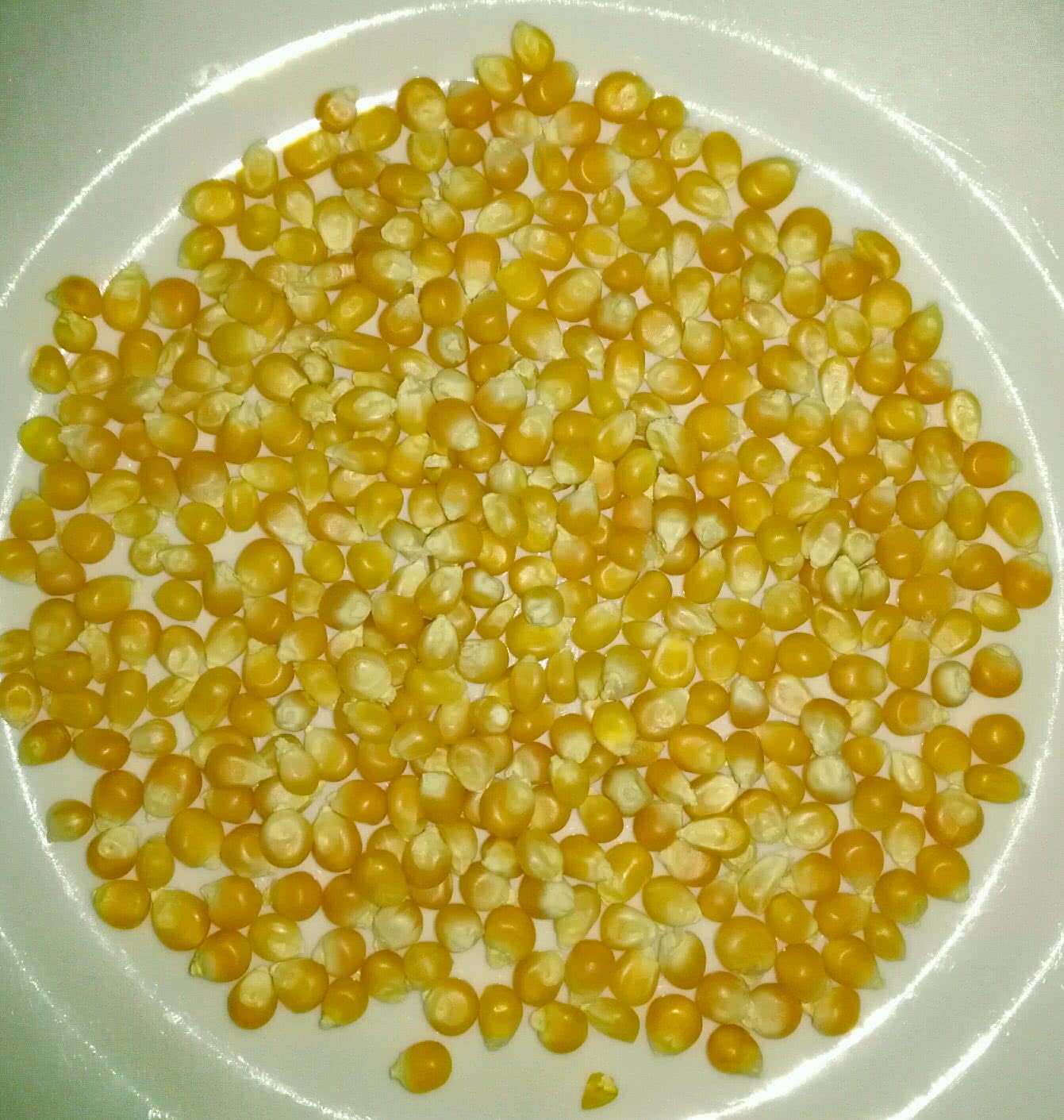 【炸爆米花】在家自制爆米花，选对这种玉米粒，5分钟爆一锅，比电影院的好吃 - 哔哩哔哩