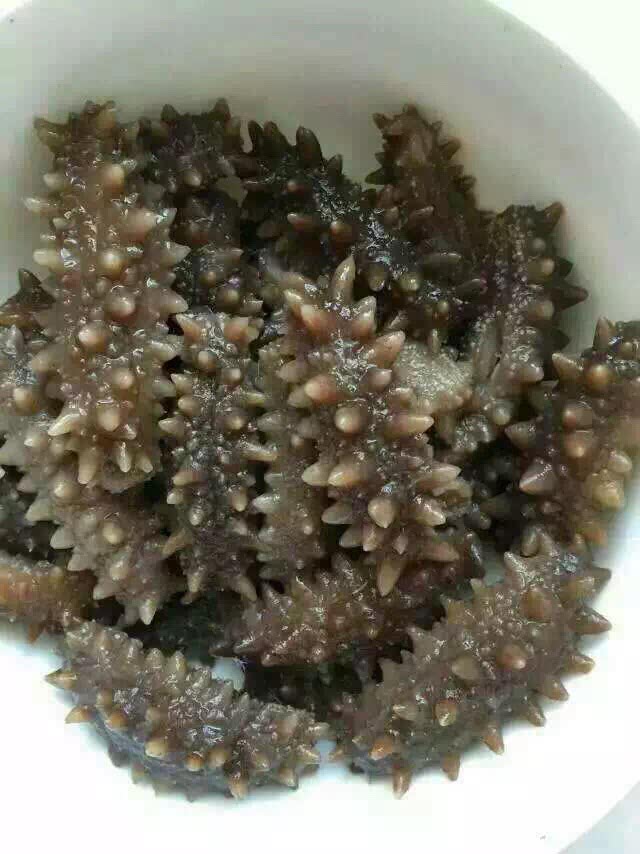 俄罗斯野生海参 泡发攻略