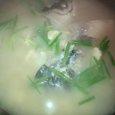 营养与美味并存的奶白色鱼头豆腐汤（花鲢鱼）