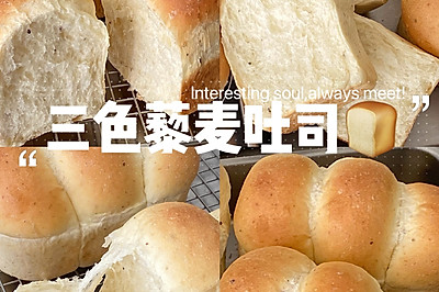 三色藜麦吐司｜沉浸式做吐司