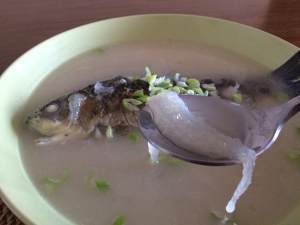 下奶燕窝—鲫鱼燕窝汤