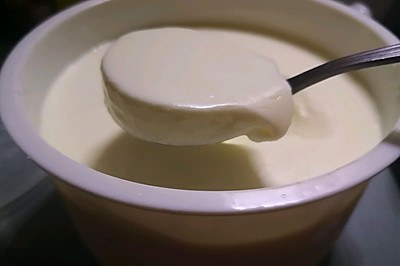 自制德运酸奶