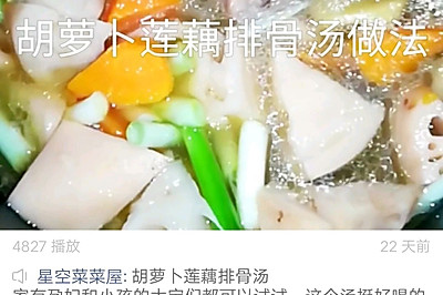 胡萝卜莲藕排骨汤