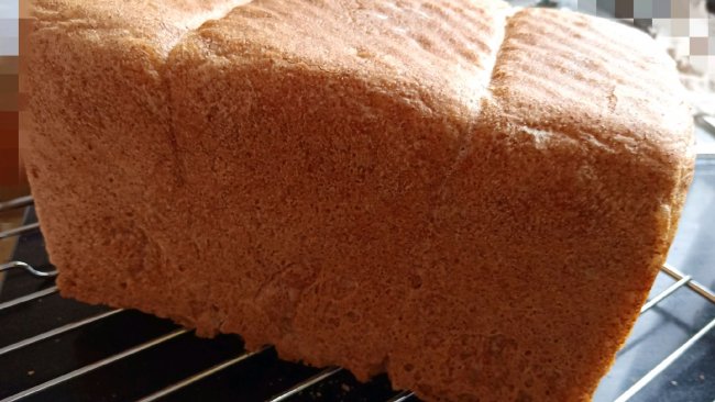 全麦面包（少油少糖）百分百全麦，减肥减脂必备全麦面包的做法