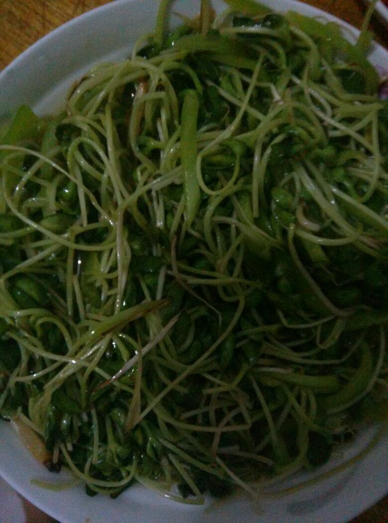 Light mung bean sprouts