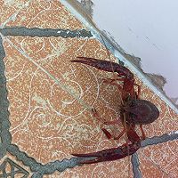 香烤小龙虾#虾的味道，油知道#的做法图解2