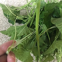 清炒南瓜藤的做法图解3