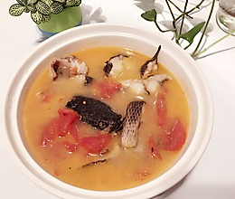 黑鱼番茄汤的做法