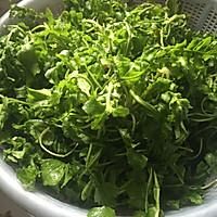 荠菜（地菜）鲜肉春卷的做法图解1