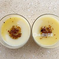 豆乳布丁的做法图解8