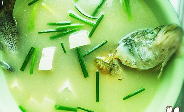 海鲈鱼百合豆腐汤