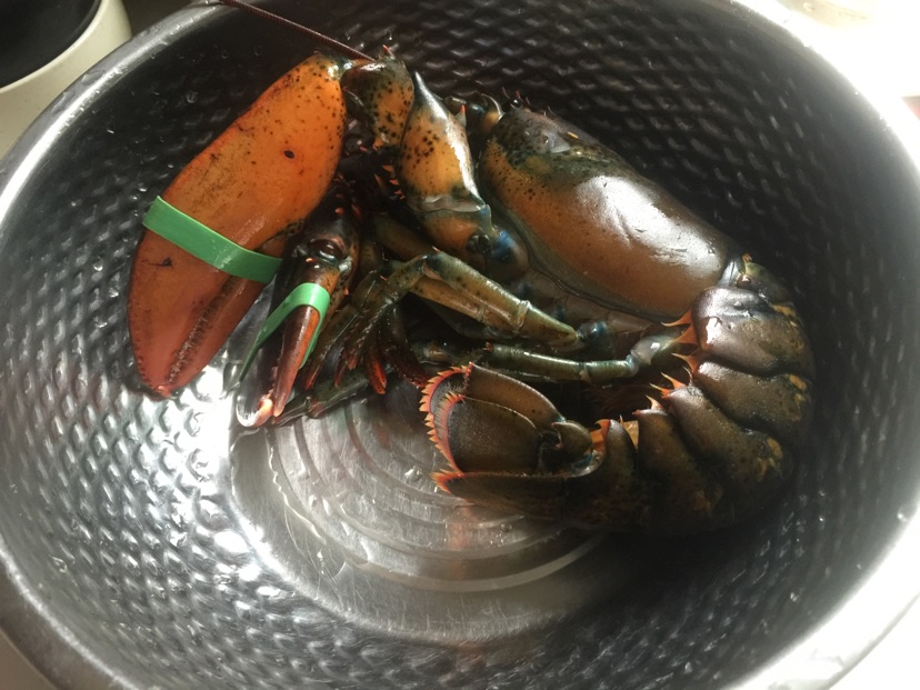 蒜蓉粉丝蒸龙虾#维达与你传承年味#的做法图解1