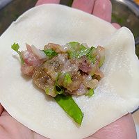 酱香芹菜猪肉饺的做法图解4