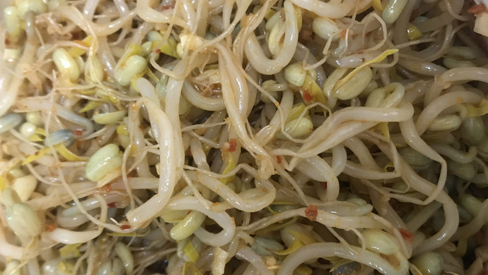 绿豆芽成长记