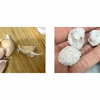 无油炖出美味：糖醋排骨的做法图解7