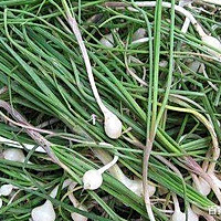 贼蒜大包子的做法图解2