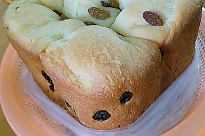 面包机葡萄干面包