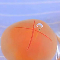 鸡蛋豆腐脑 宝宝辅食食谱的做法图解7