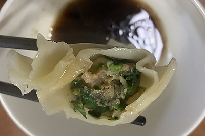 青菜肉饺子