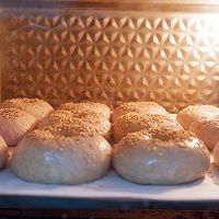 红糖全麦面包（波兰种）#挚爱烘焙·你就是MOF#的做法图解13